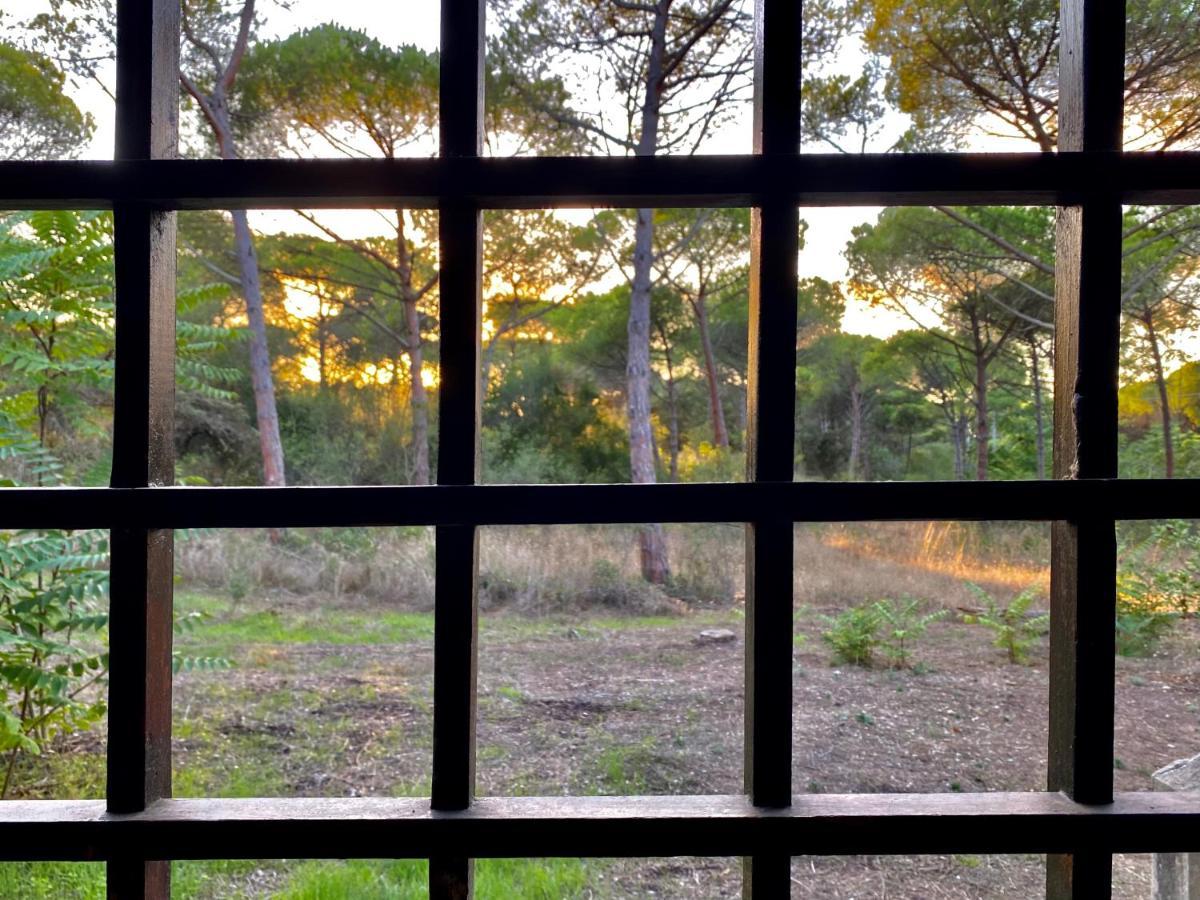 All'Ombra Dei Pini - Casa Vacanze Pet Friendly Appartement Marina di Sorso Buitenkant foto