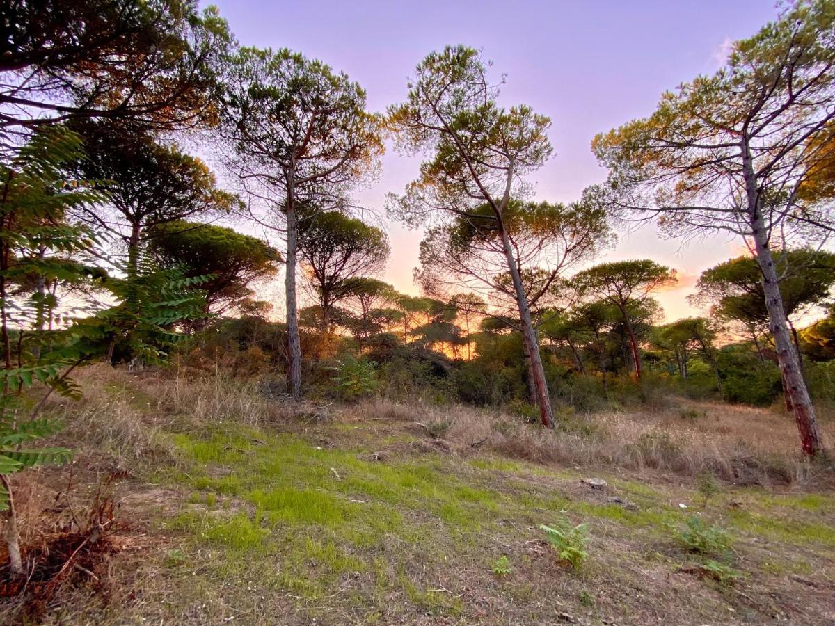All'Ombra Dei Pini - Casa Vacanze Pet Friendly Appartement Marina di Sorso Buitenkant foto