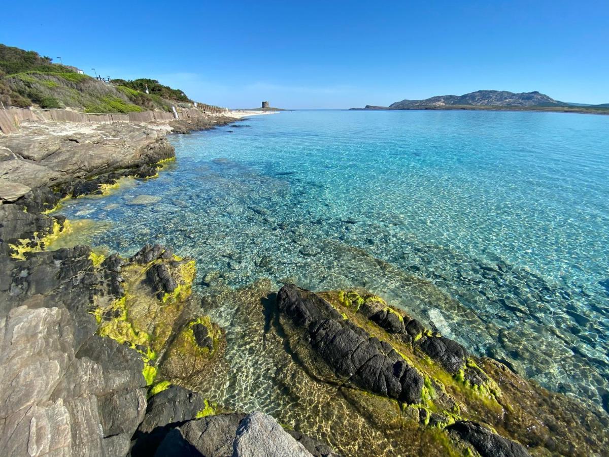 All'Ombra Dei Pini - Casa Vacanze Pet Friendly Appartement Marina di Sorso Buitenkant foto