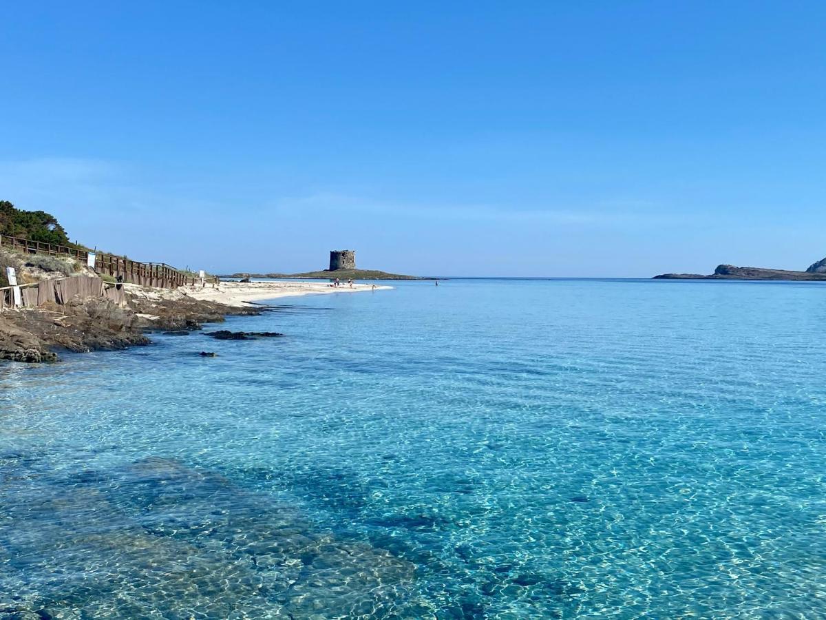 All'Ombra Dei Pini - Casa Vacanze Pet Friendly Appartement Marina di Sorso Buitenkant foto