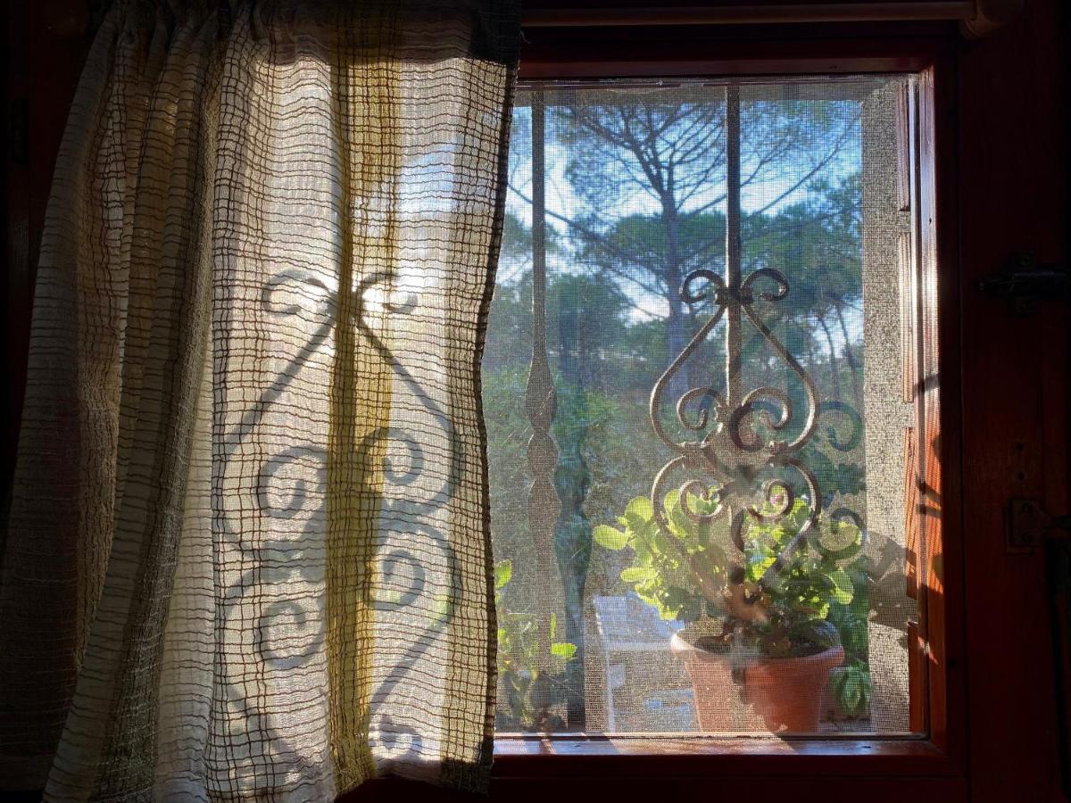 All'Ombra Dei Pini - Casa Vacanze Pet Friendly Appartement Marina di Sorso Buitenkant foto